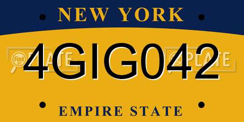 4GIG042 New York License Plate