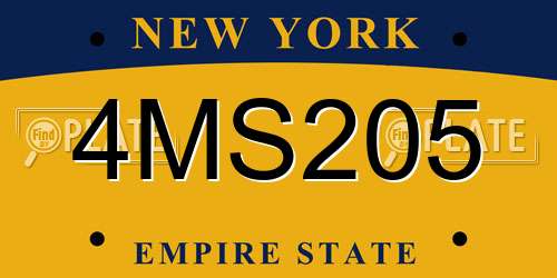 4MS205 New York License Plate