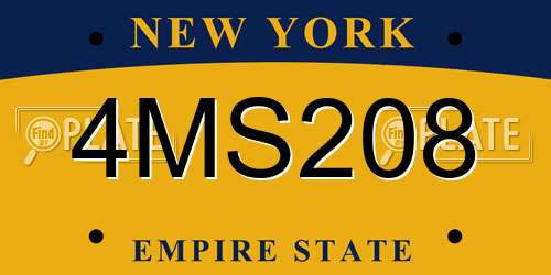 4MS208 New York License Plate