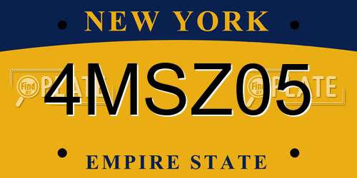 4MSZ05 New York License Plate