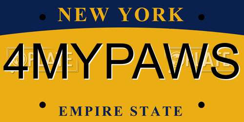 4MYPAWS New York License Plate