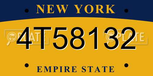 4T58132 New York License Plate