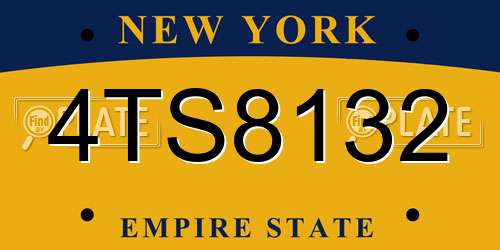 4TS8132 New York License Plate