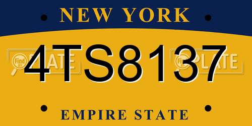 4TS8137 New York License Plate