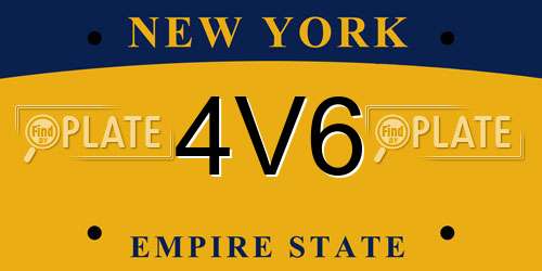 4V6 New York License Plate