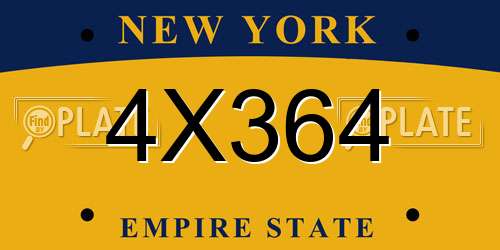 4X364 New York License Plate