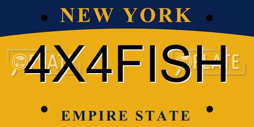 4X4FISH New York License Plate