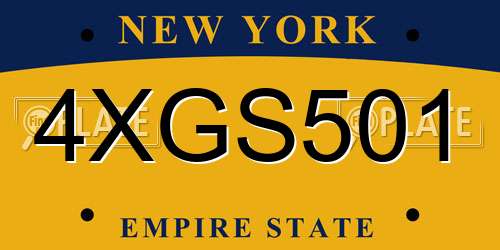 4XGS501 New York License Plate