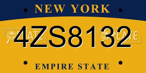 4ZS8132 New York License Plate