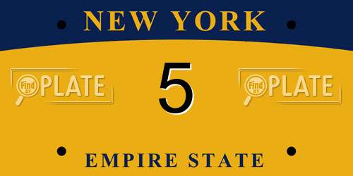 5 New York License Plate