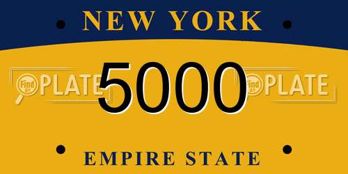 5000 New York License Plate