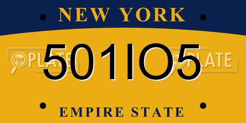501IO5 New York License Plate