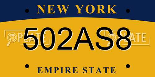 502AS8 New York License Plate