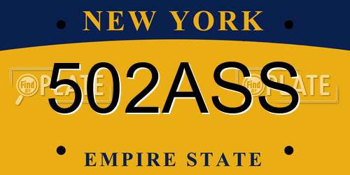502ASS New York License Plate