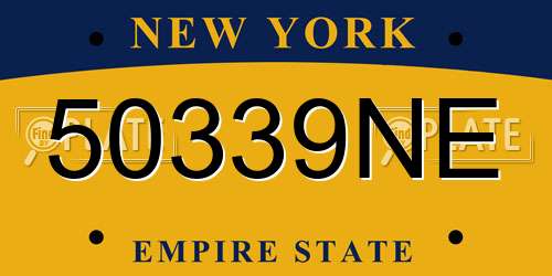 50339NE New York License Plate