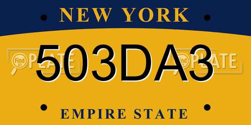 503DA3 New York License Plate