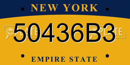 50436B3 New York License Plate