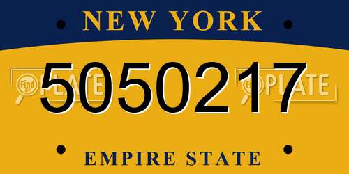 5050217 New York License Plate