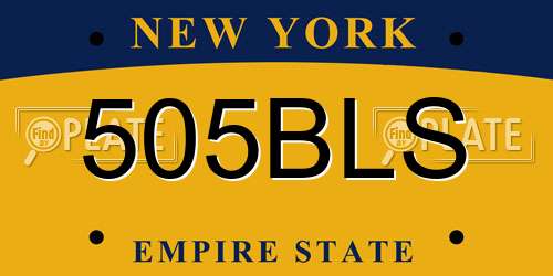 505BLS New York License Plate