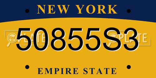 50855S3 New York License Plate