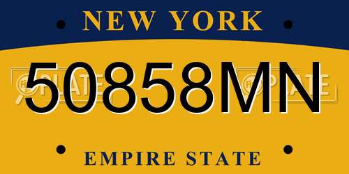 50858MN New York License Plate
