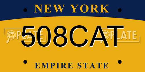 508CAT New York License Plate