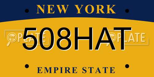 508HAT New York License Plate