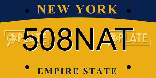 508NAT New York License Plate