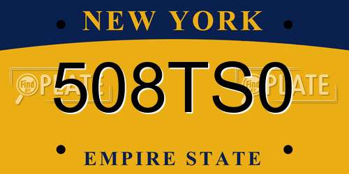 508TS0 New York License Plate