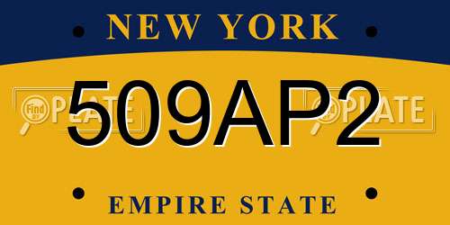 509AP2 New York License Plate