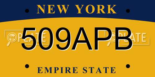 509APB New York License Plate