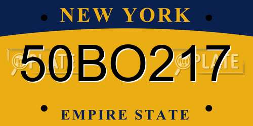 50BO217 New York License Plate