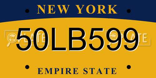 50LB599 New York License Plate