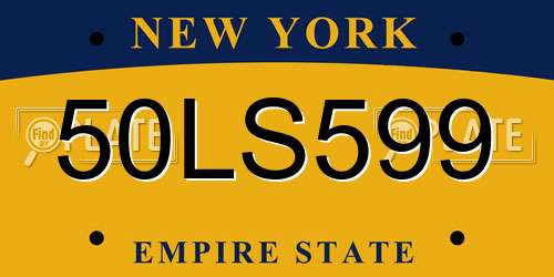 50LS599 New York License Plate