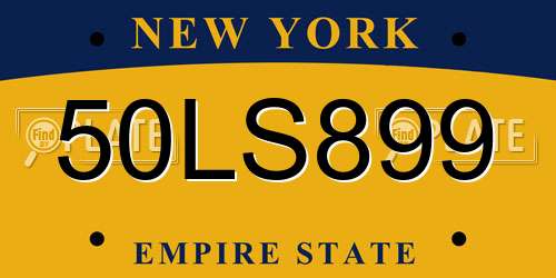 50LS899 New York License Plate