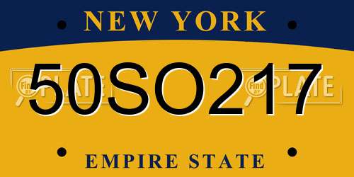 50SO217 New York License Plate