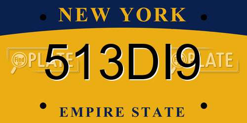 513DI9 New York License Plate