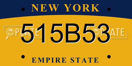 515B53 New York License Plate