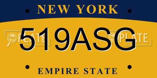 519ASG New York License Plate