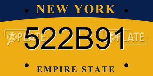 522B91 New York License Plate