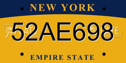52AE698 New York License Plate