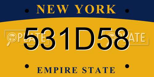 531D58 New York License Plate