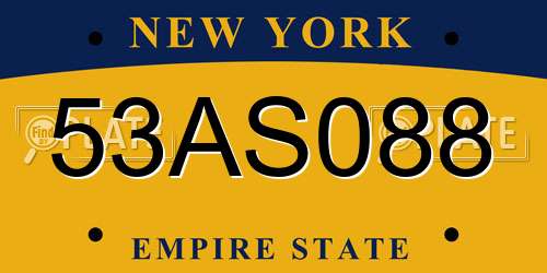 53AS088 New York License Plate