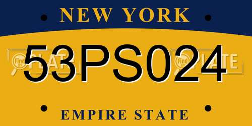 53PS024 New York License Plate
