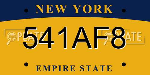 541AF8 New York License Plate