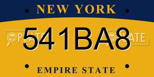 541BA8 New York License Plate