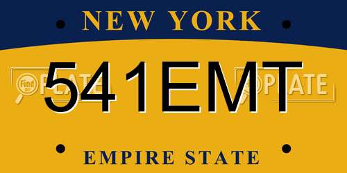 541EMT New York License Plate
