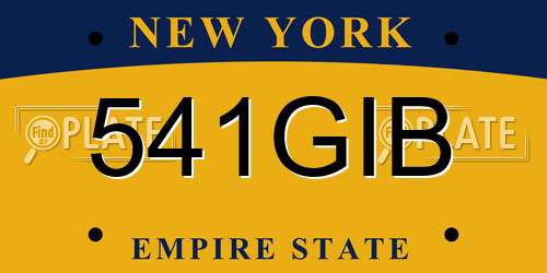 541GIB New York License Plate