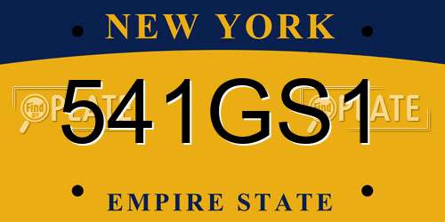 541GS1 New York License Plate