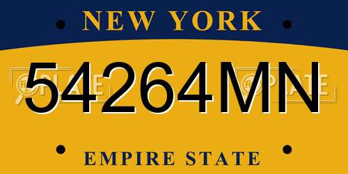 54264MN New York License Plate
